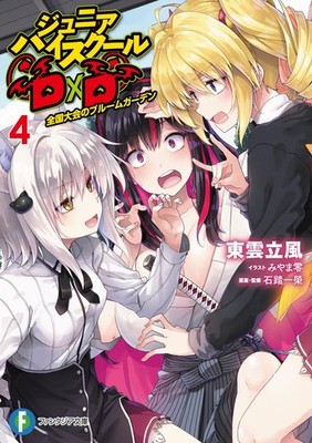Junior High School DxD vol.1-4 /  Japanese Novel Book from Japan