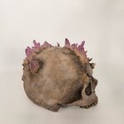 Bild 6 von 19