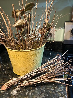 Wood Branch Mixed Twig Bunches 6-12'' Variety Med to Fine~Crafts *Farmhouse Decor