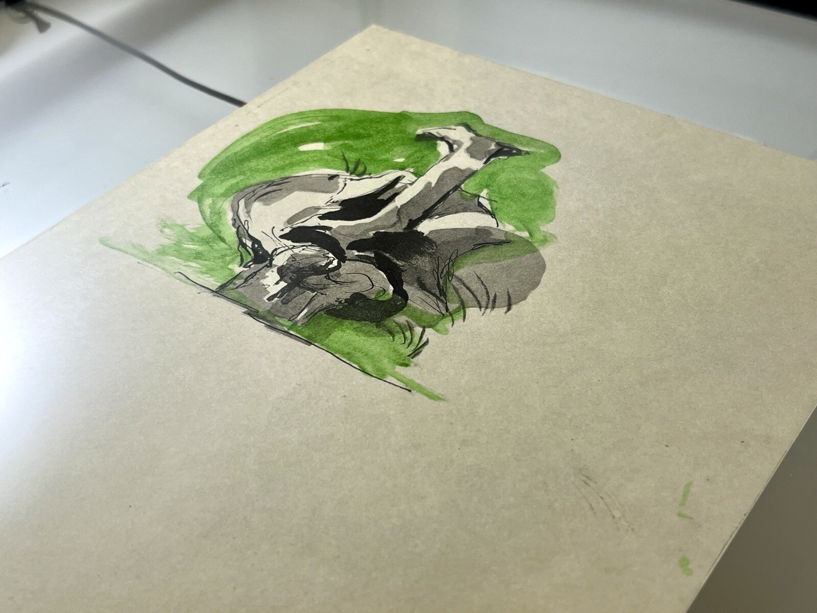 Picture 5 of 6