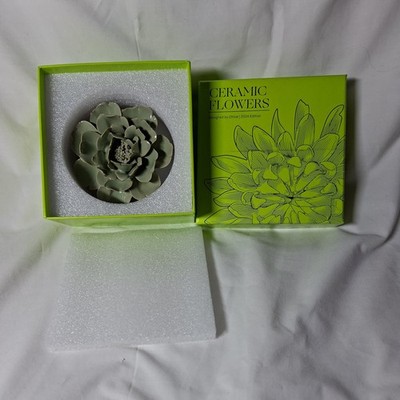 Schnittlauch Keramik Wand Blume Moos Grau Ochsenauge Gänseblümchen 4 Zoll Durchmesser Verpackt
