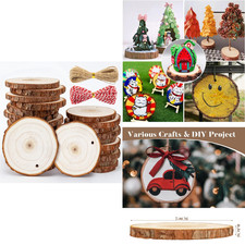 20 PCS Christmas Natural Wood Slices - Unfinished Wood Circles Kit