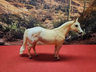 Peter Stone Shynoah Appaloosa Palomino Ish #9985 - Traditional