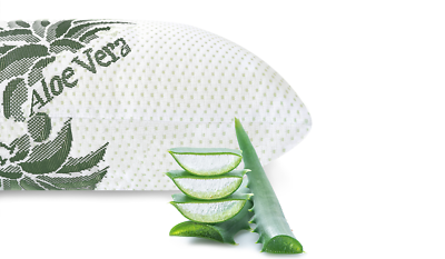 buy aloe vera leaf Aloe barbadensis 4