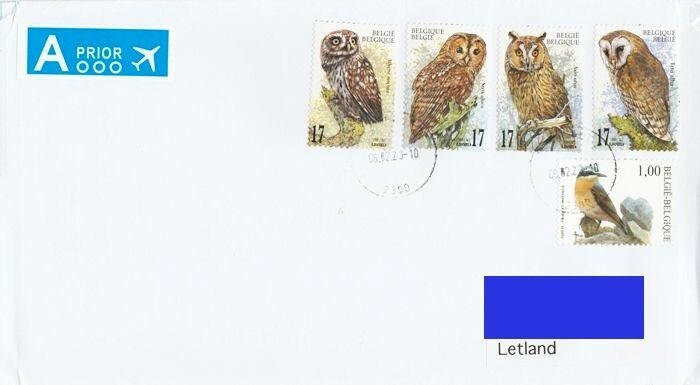 Foto 1 di 1