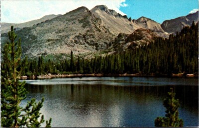Bear Lake Rocky Mount Park Colorado Vintage Chrome Postcard Unposted A83