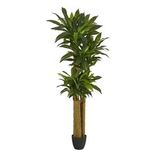 Nearly Natural 6ft Corn Stalk Dracaena Artificial Plant (Real Touch) in Green