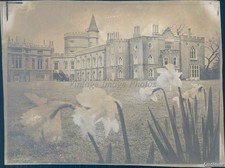 Château Estate Lawn Turret Classical Architecture 5X7 Historic Vintage Photo