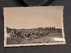 WEHRMACHT YOUNG ARMY SOLDIERS w RIFLES German Wartime Military WW2 WWII Photo