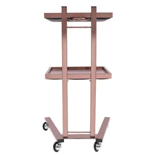 2 Tiers Hairdressing Trolley Salon Trolley Salon Rolling Cart w/ Trays & Wheels