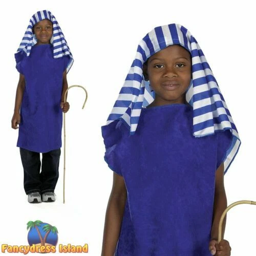 Nativity Synthetic Fancy Dress for Boys