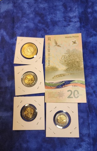 Billete zirkuliert 20 $ Pesos Conmemorativo Mexiko Lote 4 Monedas 2024 Brillante - Bild 2 von 4