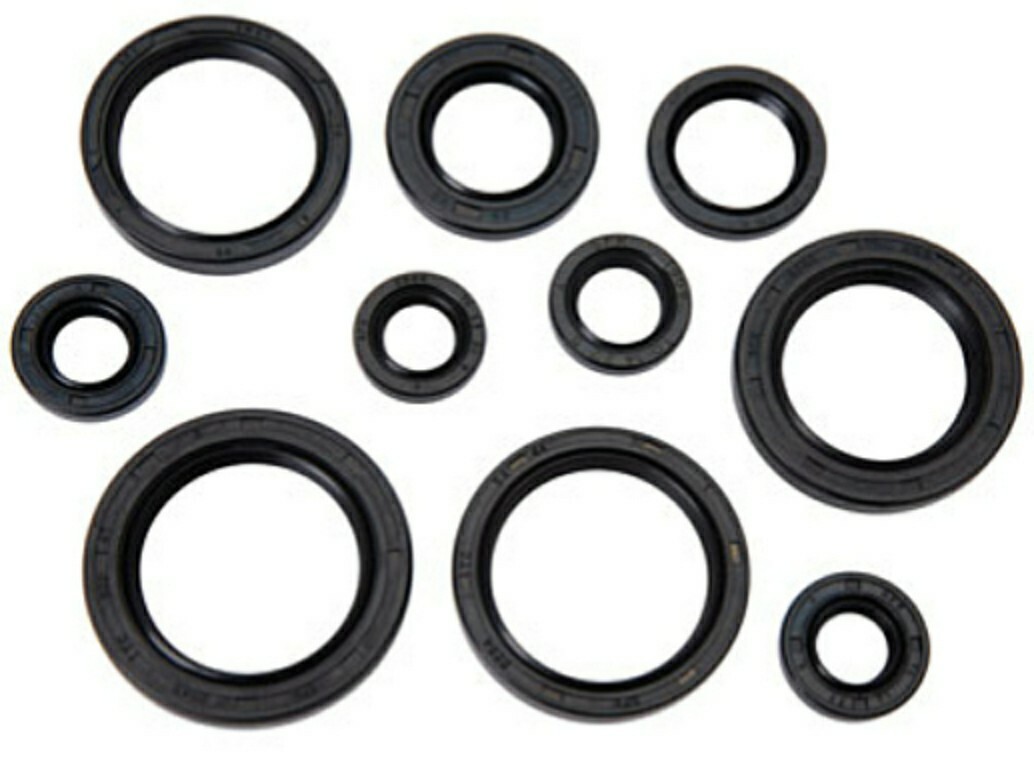 Tusk Engine Oil Seal Kit – Fits Honda TRX400EX 1999-2004 (Part 1339140003)