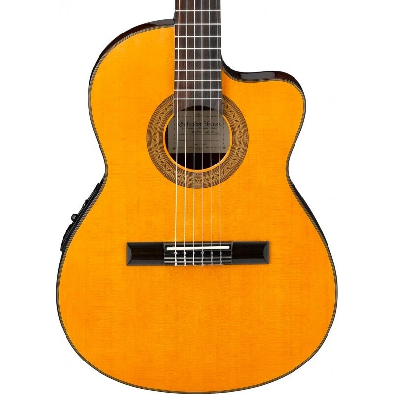Ibanez GA5TCE AM Amber Chitarra Classica 4/4 Elettrificata Amplificata - Immagine 4 di 4