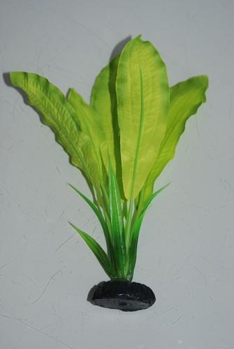 Aquarium Silk Plant Broad Leaf Plant Green 2 Shades Green 20 cms High - Picture 4 of 4