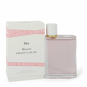 burberry her ebay