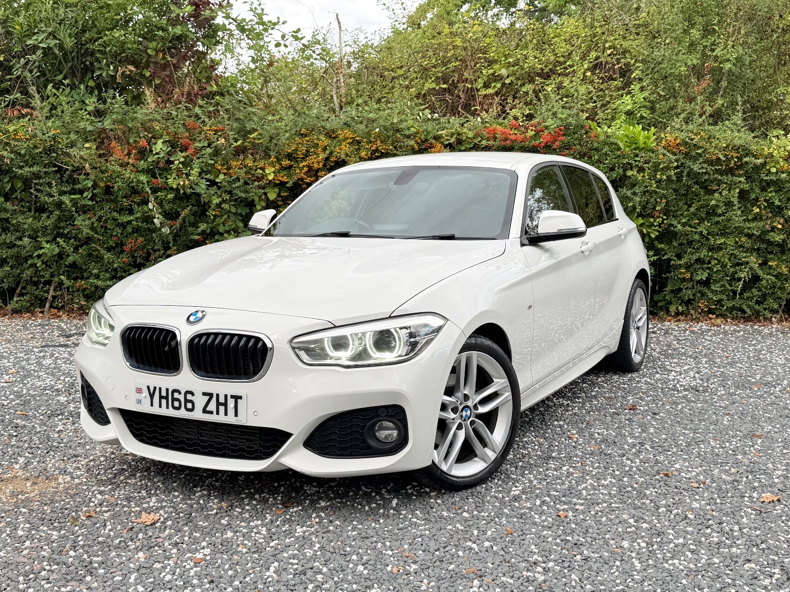 2016 BMW 120