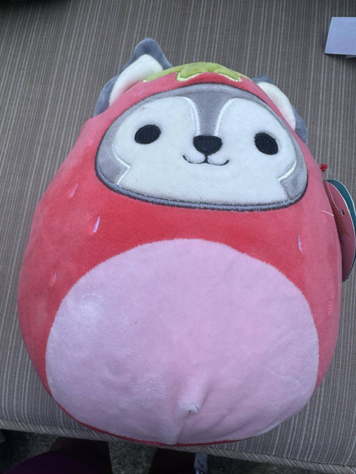 Original Squishmallows - 8inch - Ryan The Husky In Strawberry - TAG DETACHED