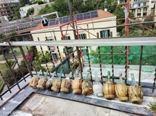 bottiglia paglia vino impagliata fiasco fiaschi Vintage Anni 50 Ruffino