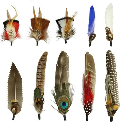 10Pcs Hat Feathers, Natural Feathers Peacock Feathers for Hats, Colorful Feather
