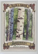 2021 Topps Allen & Ginter's Arboreal Appreciation Black Birch #AA-11 0c4