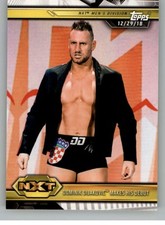 2019 Topps WWE NXT Wrestling Trading Cards Roster Bronze or Base Pick From List