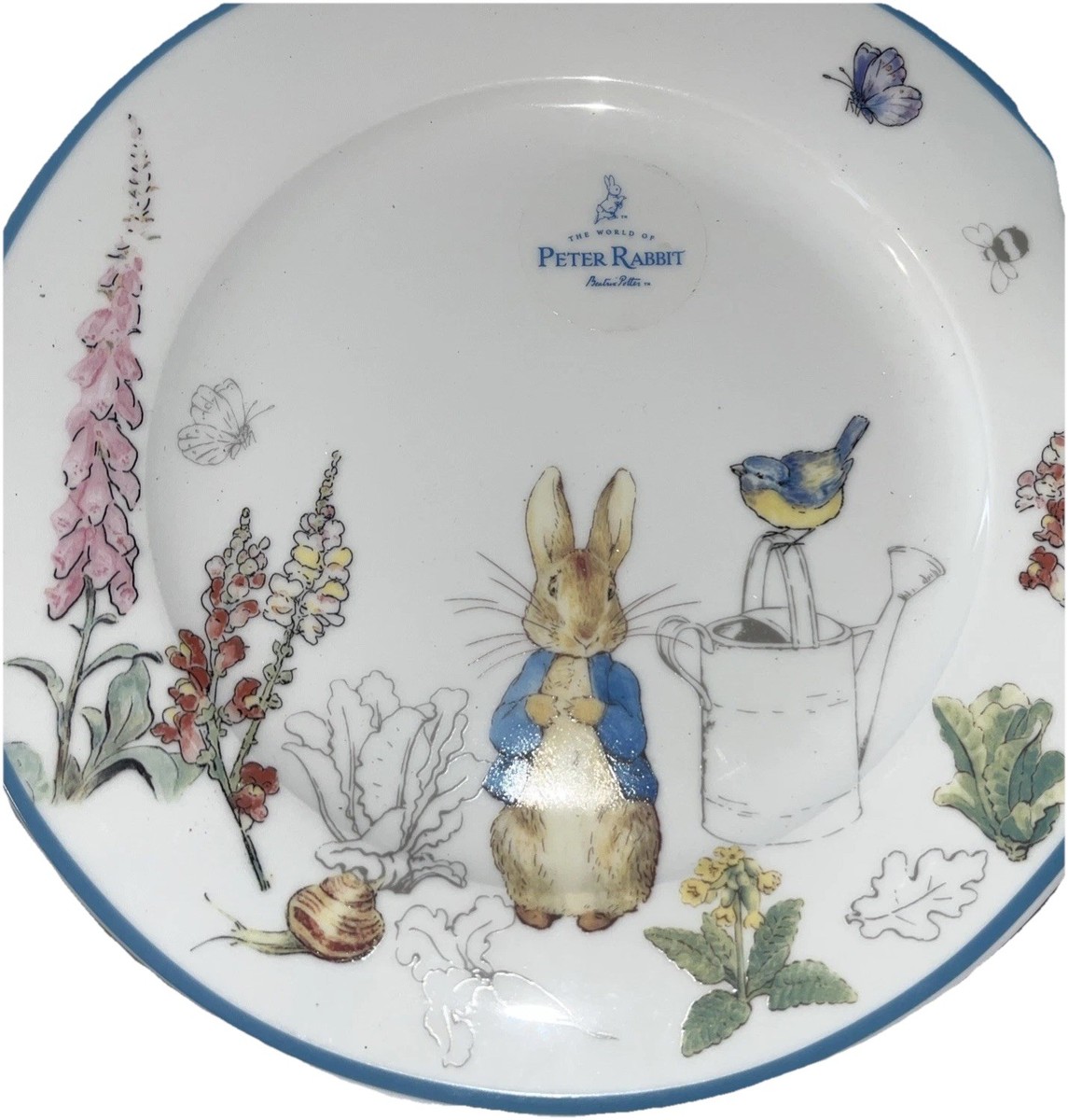 Beatrix Potter Peter Rabbit Dinner Plate by Zrike Watering Can