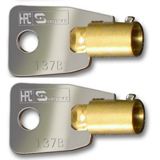 (2) Sentry Safe Tubular ACE Keys PreCut To Your Key Code Codes 2001
