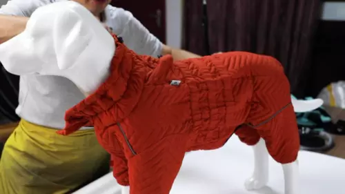 Dog Winter Coat 4 Legs Covered Windproof Waterproof Reflective Warm Dog Clothing - Picture 3 of 65