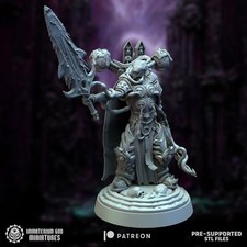 CIT OF PAIN FACELESS COLLECTOR
