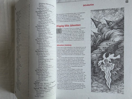 Ad&d Advanced Dungeons and Dragons Ravenloft The Forgotten Terror - Picture 7 of 10