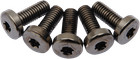 Drag Rear Rotor to Hub Torx Bolts Black Harley Dyna/Softail/Touring/XL 1986 2021