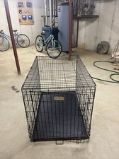 medium dog kennel crates