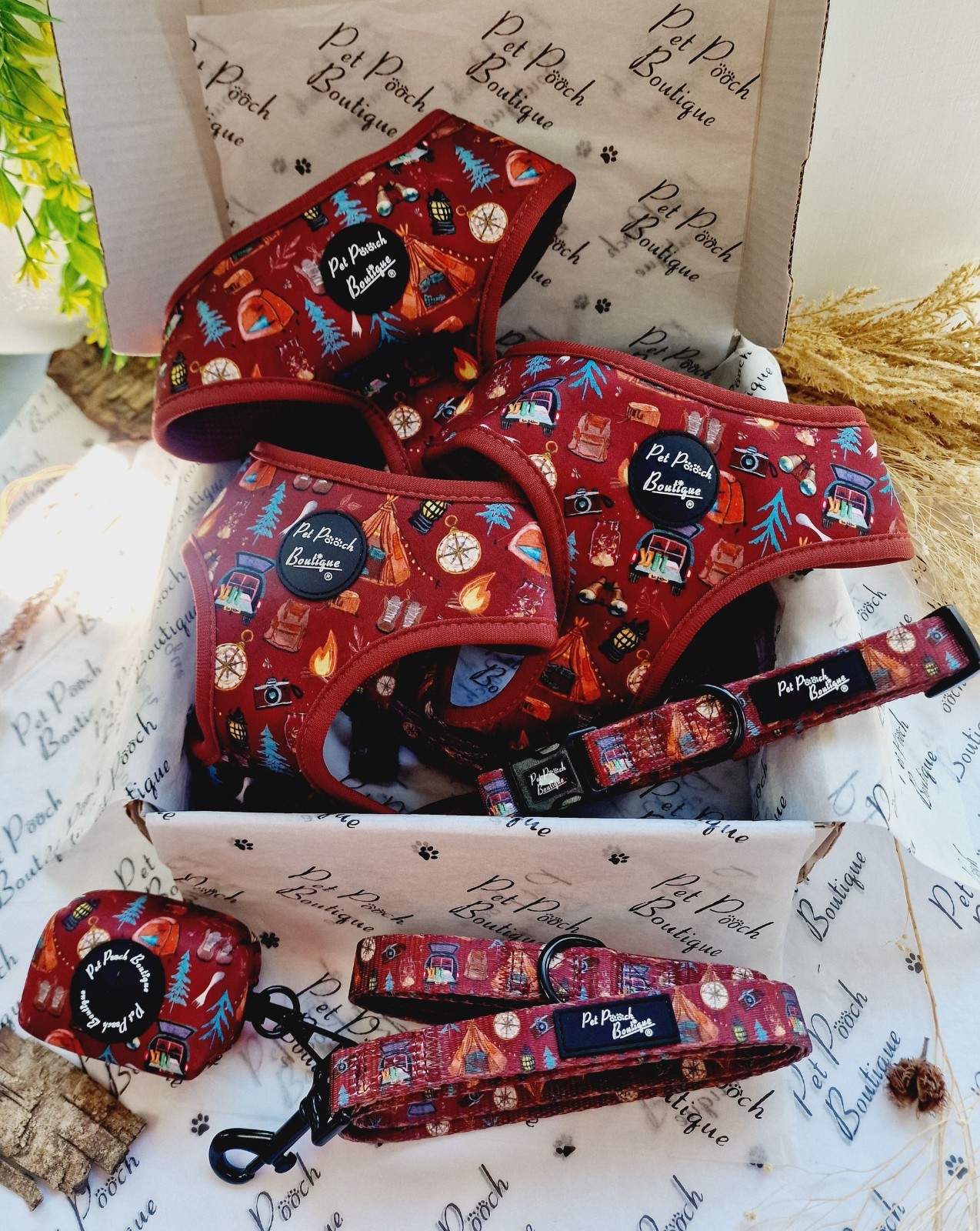 Juego de arnés para perros de camping de gran aventura (cachorro/perros pequeños) collar, plomo, bolsa para caca