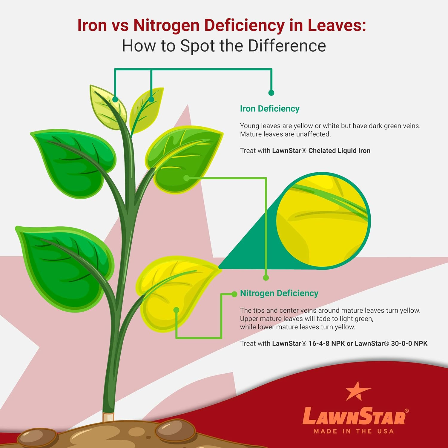 Liquid Iron (32 OZ) for Plants - Multi-Purpose, Suitable for Lawn, Flowers, Shru