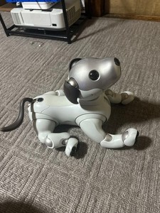 Sony Aibo Ers 1000 | eBay