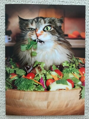 Avanti Greeting Cards - Almost Funny -''I may have ''gone green'' but i'm..NEW(A42)