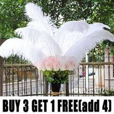 10Pcs Large Ostrich Feathers