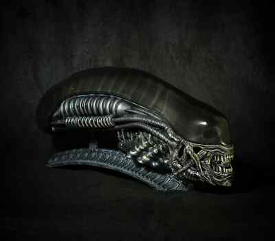Xenomorph - Head Display Piece