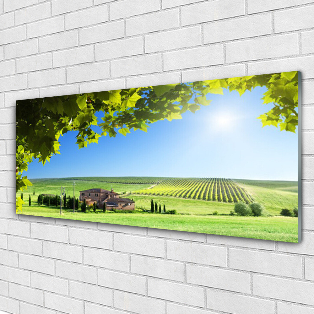 Impression sur verre image tableaux 125x50 paysage feuilles champ d'automne