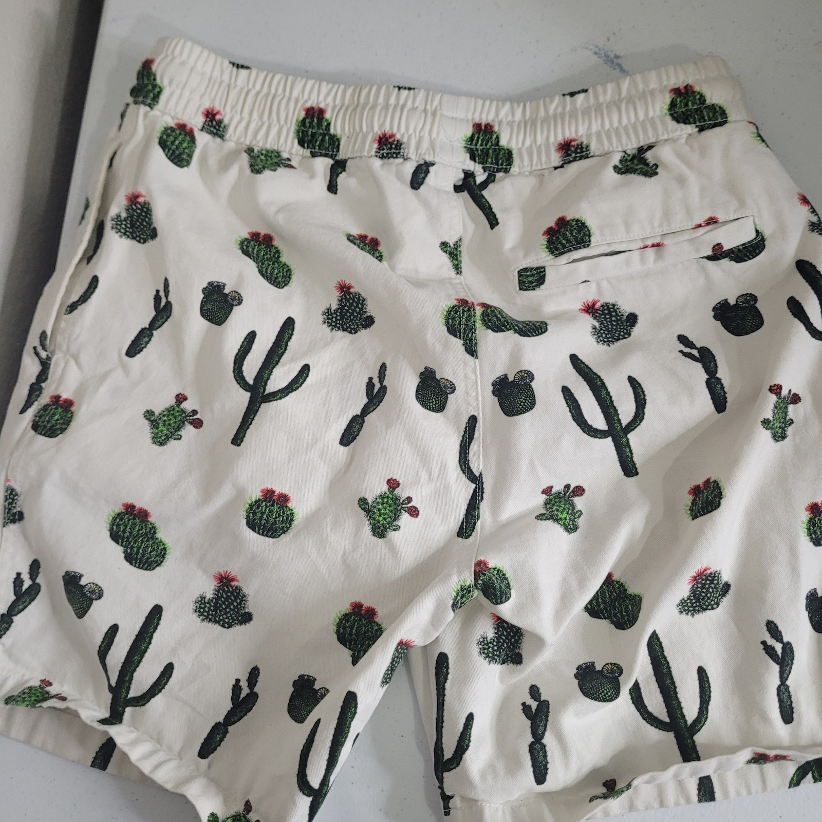 Zipcode Small Shorts Cactus graphic print Drawstr… - image 2
