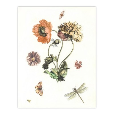 Mohnblumen Schmetterlinge und Libelle Teyler Wandbild Poster Druck