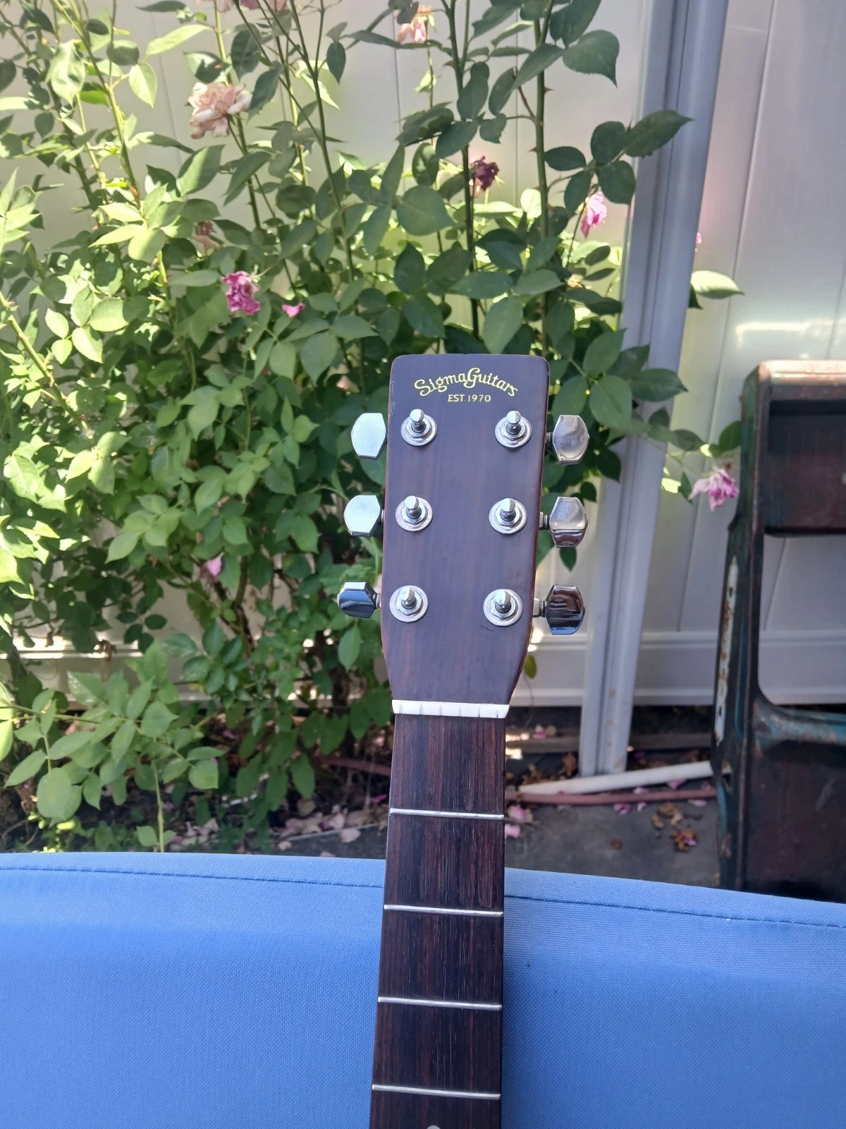 Picture 7 of 11