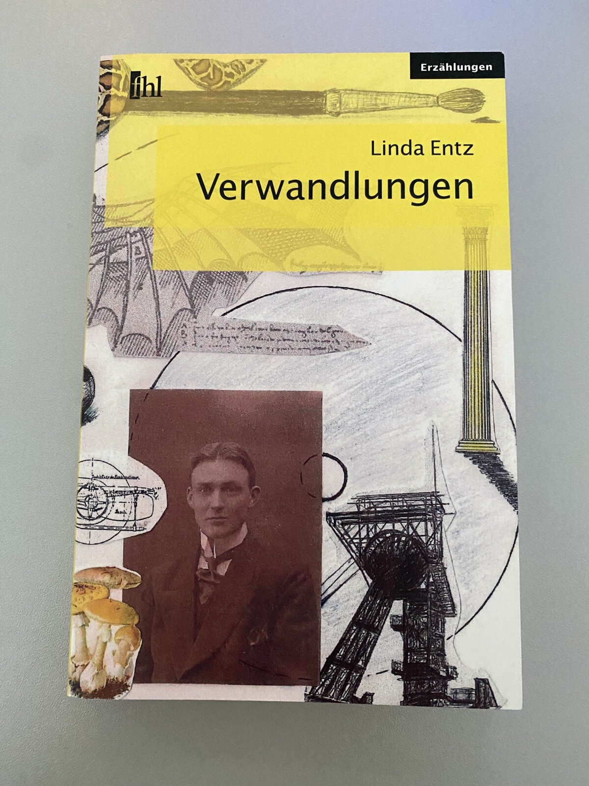 Verwandlungen von Entz, Linda | Buch | Zustand sehr gut - Entz, Linda