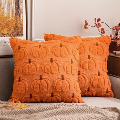 Fall Pumpkin Throw Pillow Covers Decor Set of 2 Orang Brown Stem 18 x 18