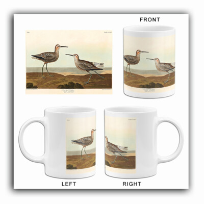 Long-Legged Sandpiper - 1827 - Illustration Mug