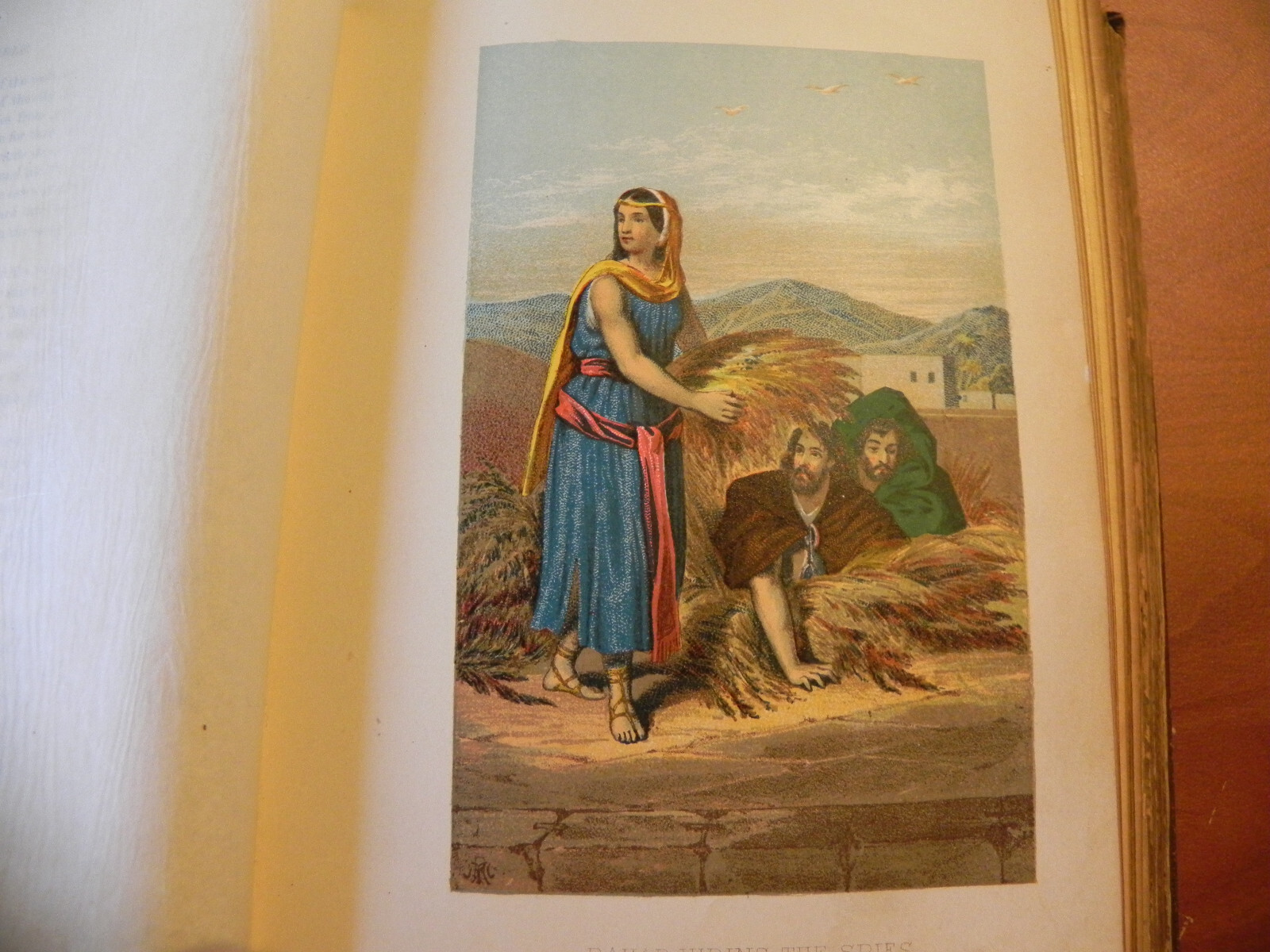Bild 12 von 16