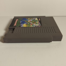 Videogioco Teenage Mutant Ninja Turtles TMNT Nintendo Entertainment System NES