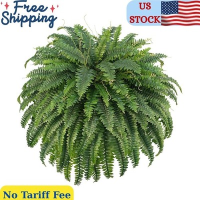 50'' Artificial Boston Ferns, Fake Bush Plants, Large Faux Ferns with 96 Fronds