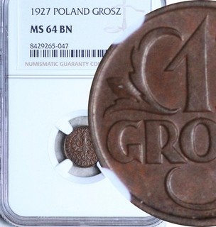 NGC MS 64 POLAND 1 GROSZ 1927